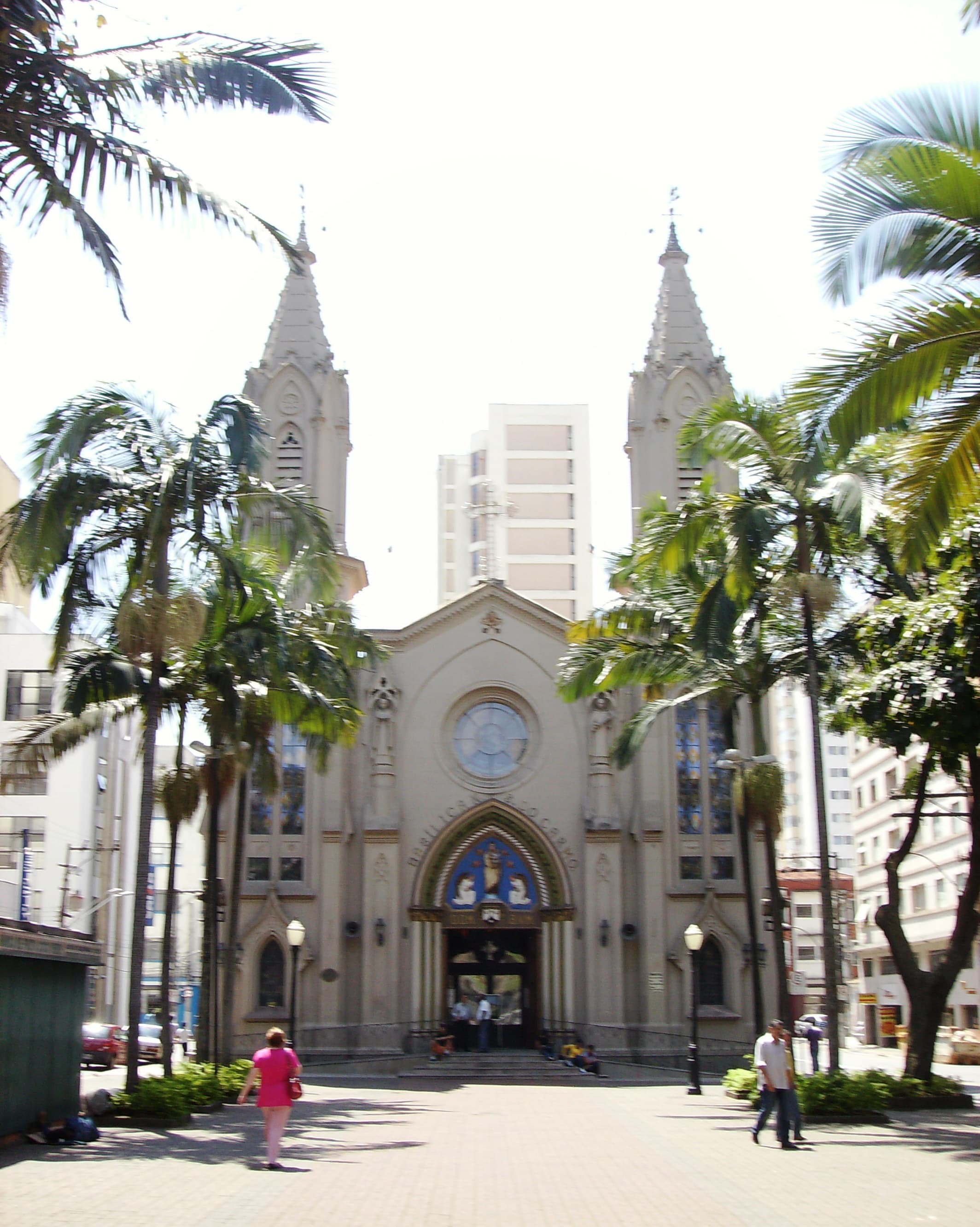 basilica of our lady of carmel, campinas