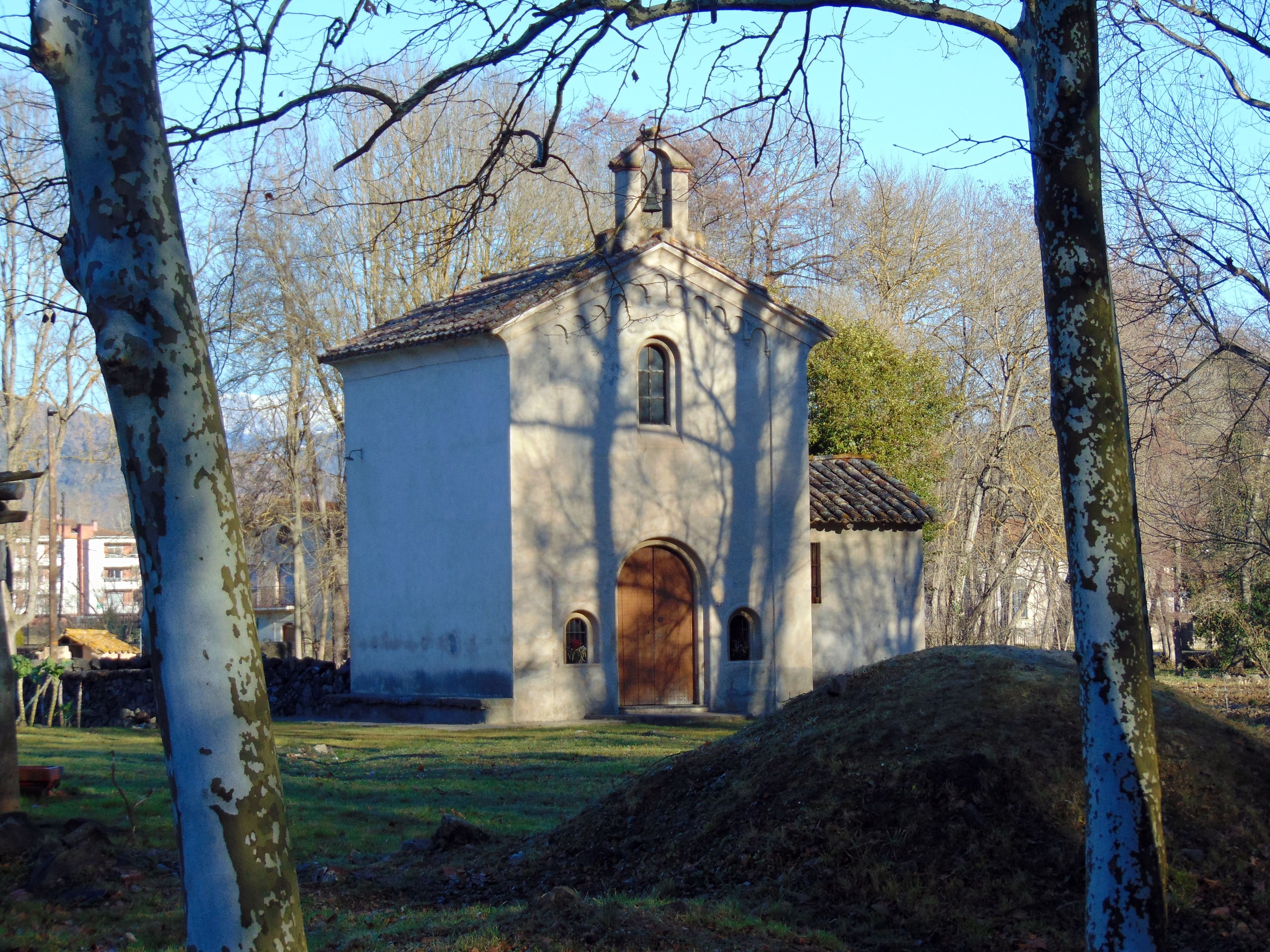 la salut de la moixina